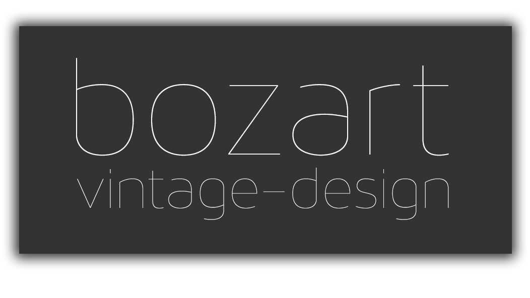 Logo BOZ.art